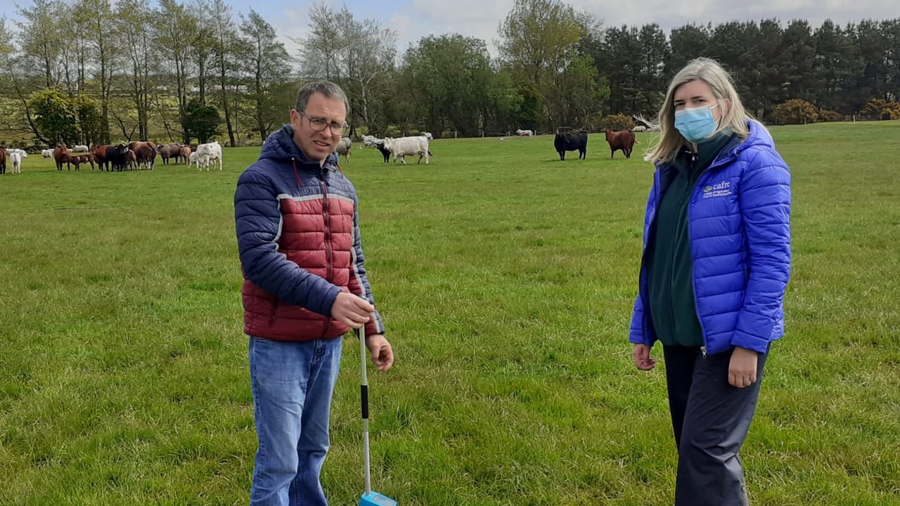 Two new Beef Technology Demonstration Farms unveiled for NI