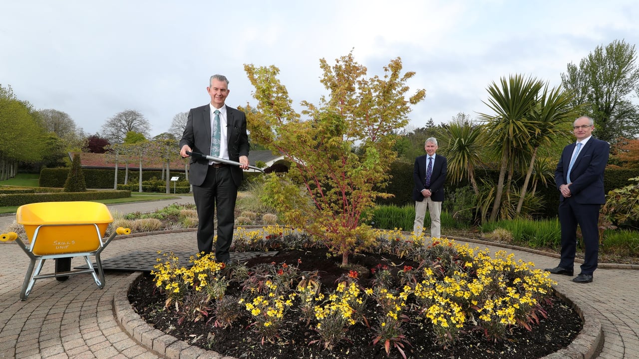 Minister Edwin Poots, pictured with Paul Mooney, head of horticulture at CAFRE and Martin McKendry, director of CAFRE, planting a Coral Bark Maple Tree on the grounds of CAFRE’s Greenmount Campus 