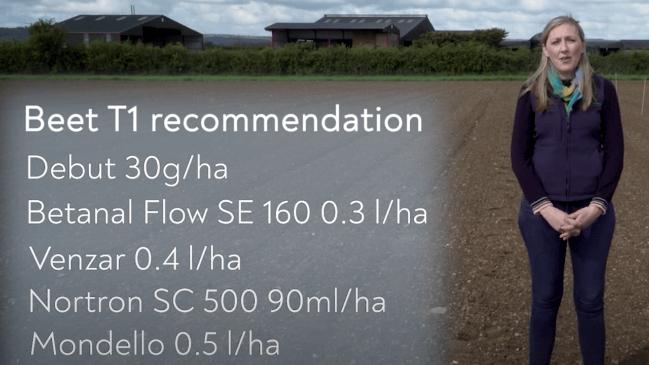 Crops Watch: Spray programmes for cold weather