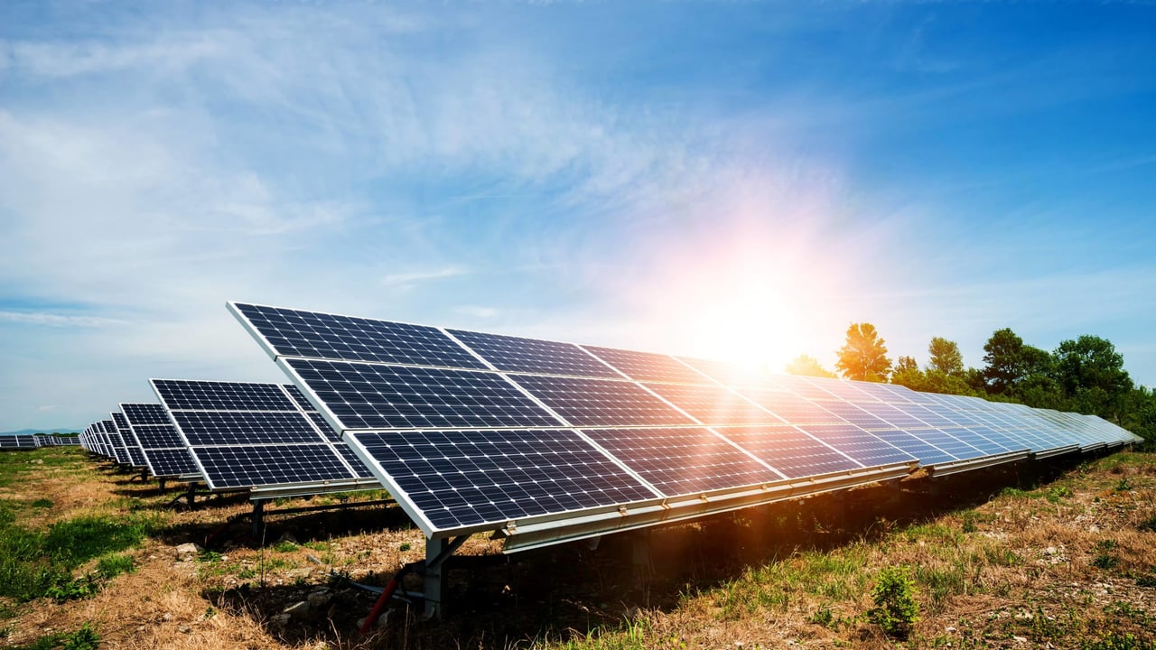Goodman-owned organic meat producer objects to €30m solar farm