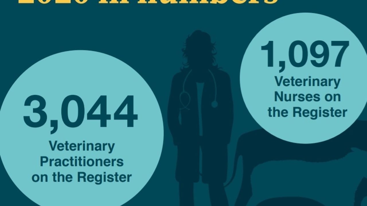 Image source: Veterinary Council of Ireland annual report 2020
