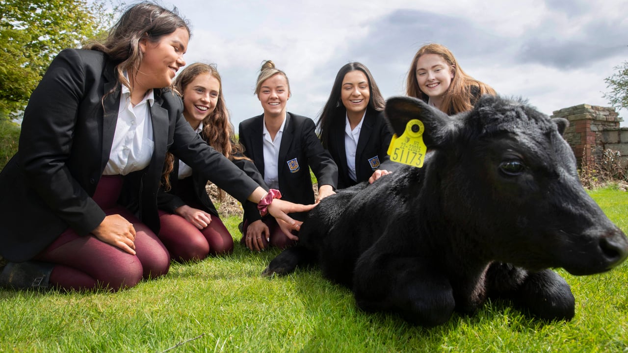 Winning team: Kelsey Hourigan, Leah Buckley, Emily O’Donovan, Rachel O'Gorman and Helen Savage from St. Aloysius College, Carrigtwohill, Co. Cork were announced as the Overall Winners of the 2021 Certified Irish Angus School’s Competition