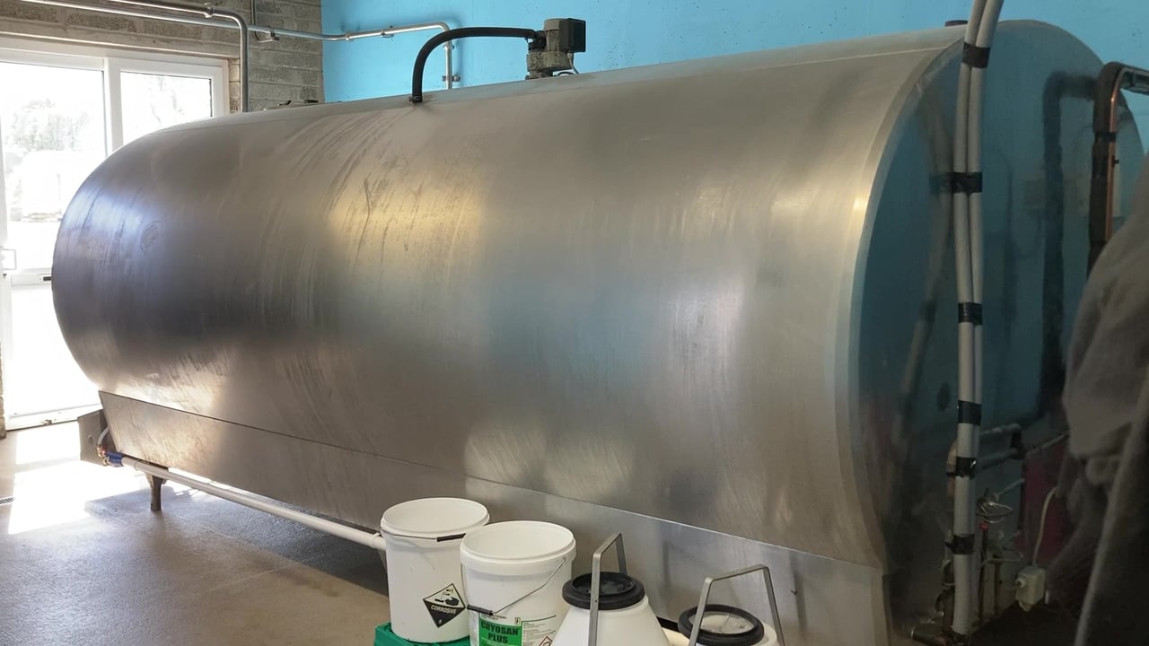 79% of bulk tanks test positive for IBR gE antibodies