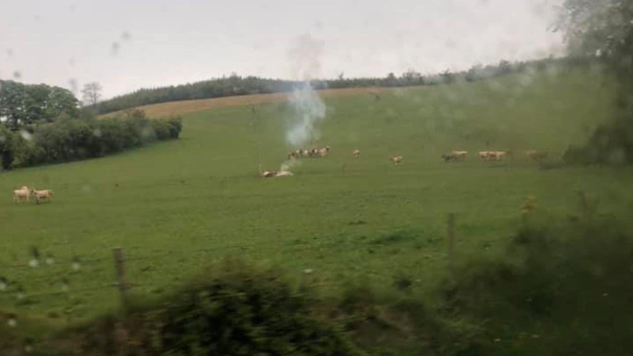 Image source: Ciaran Lynch