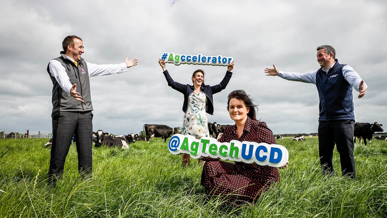 UCD launches new accelerator programme for agtech and foodtech start-ups