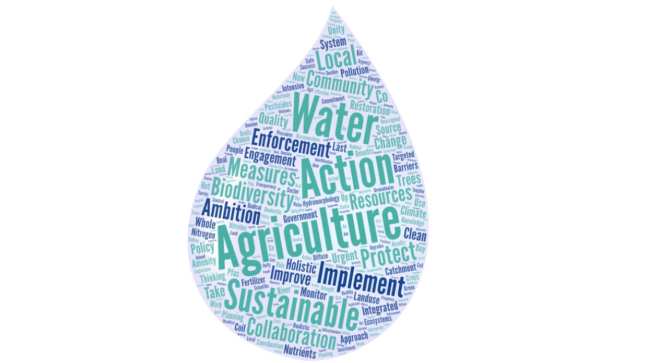 Image source: EPA