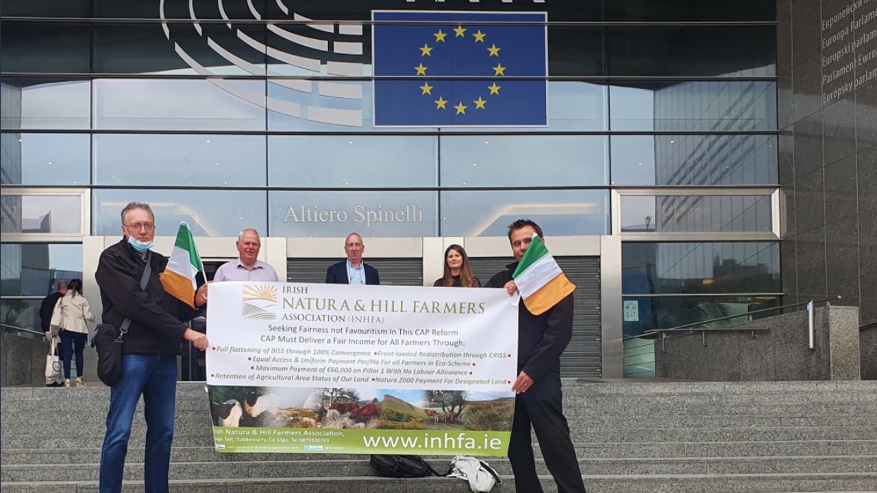 Members of the INHFA pictured in Brussels