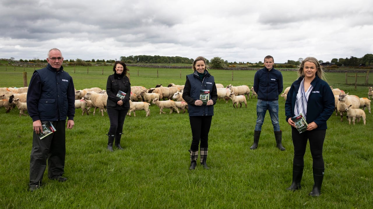 Kepak and Supervalu develop 'Lamb Producer Guidelines'