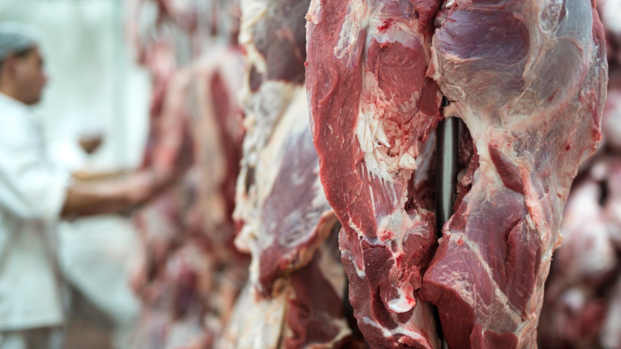FSAI: Butcher among 10 closure orders served in July