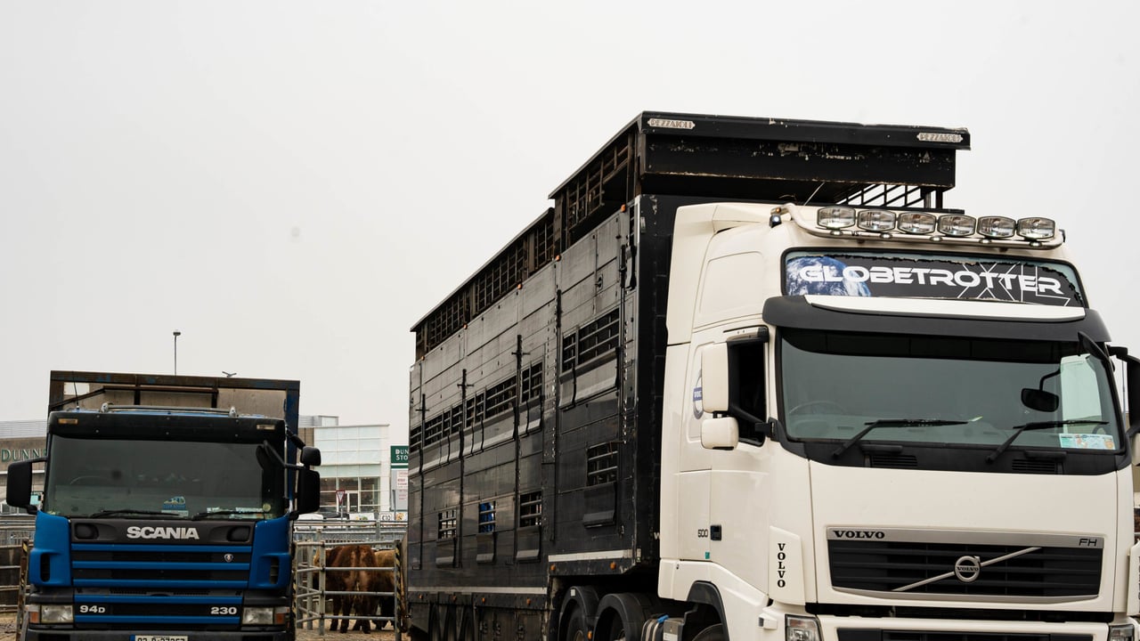 Review calls for EU system to track all live animal journeys