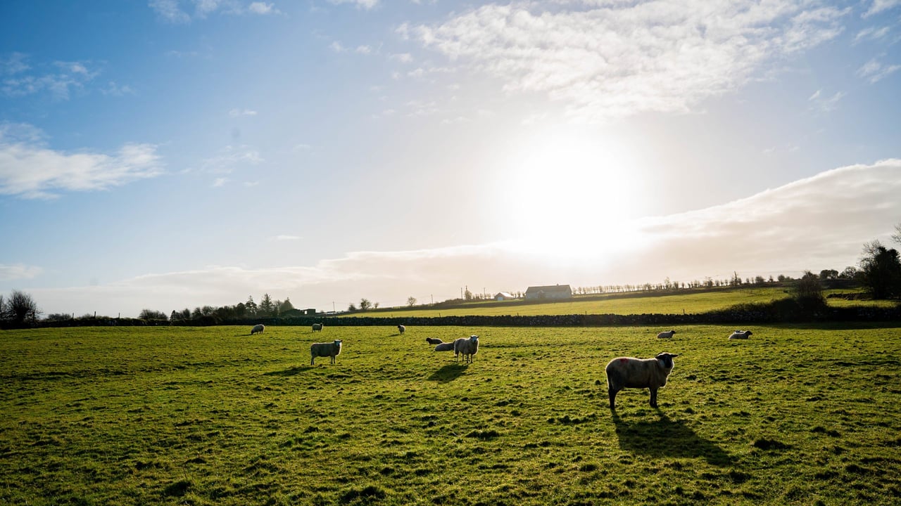 European Just Transition conference takes place in Offaly