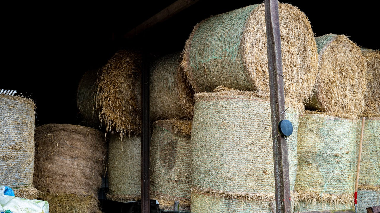 Bold plan to reduce plastic waste from baling crops