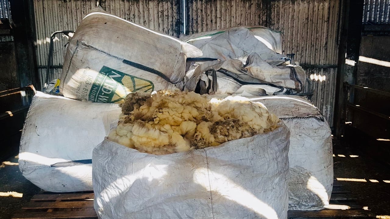 Wool feasibility report recommends new industry-led council