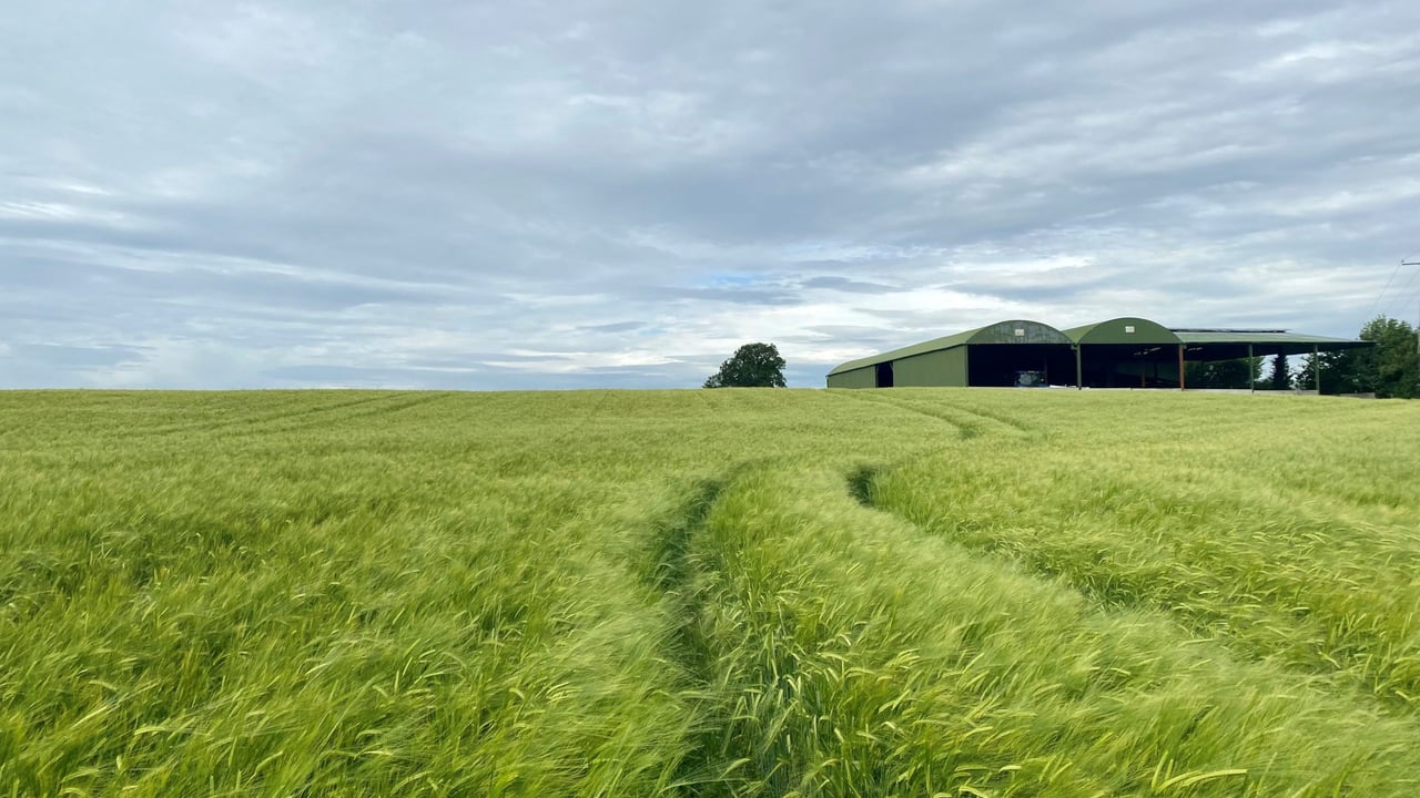 Athy land 'would make ideal out-farm'