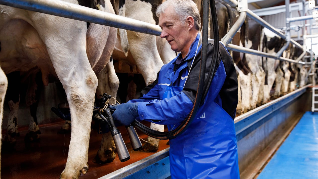 Billy O' Connor, Knockeen, Castleisland, Co. Kerry