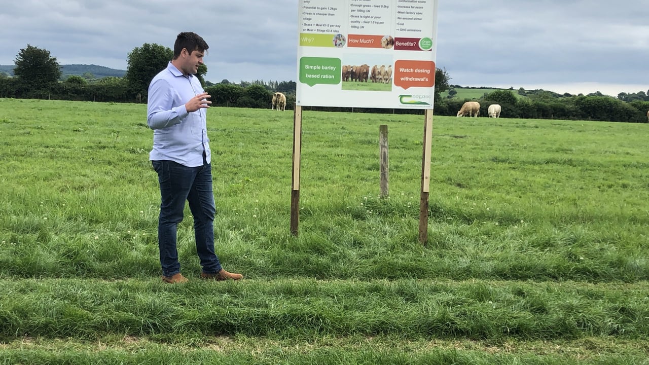 Denis Brennan from Slaney Foods