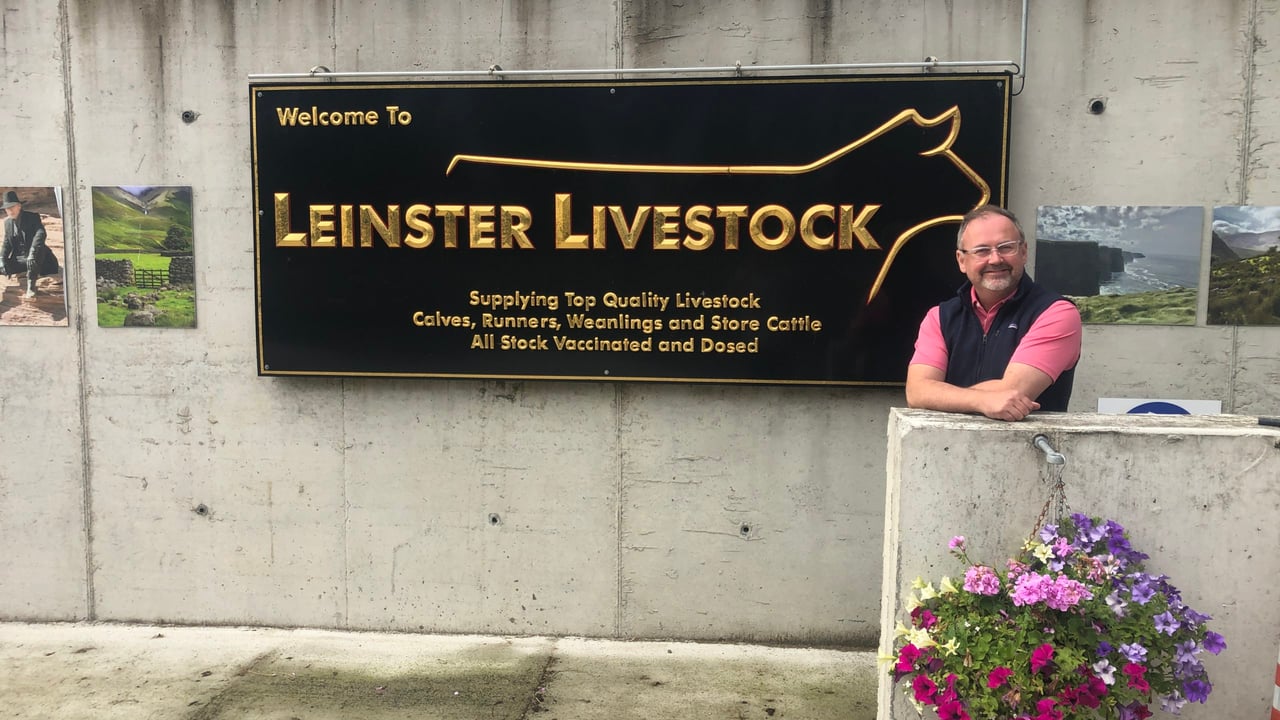 ‘State of the art’ cattle dealer’s yard - Leinster Livestock