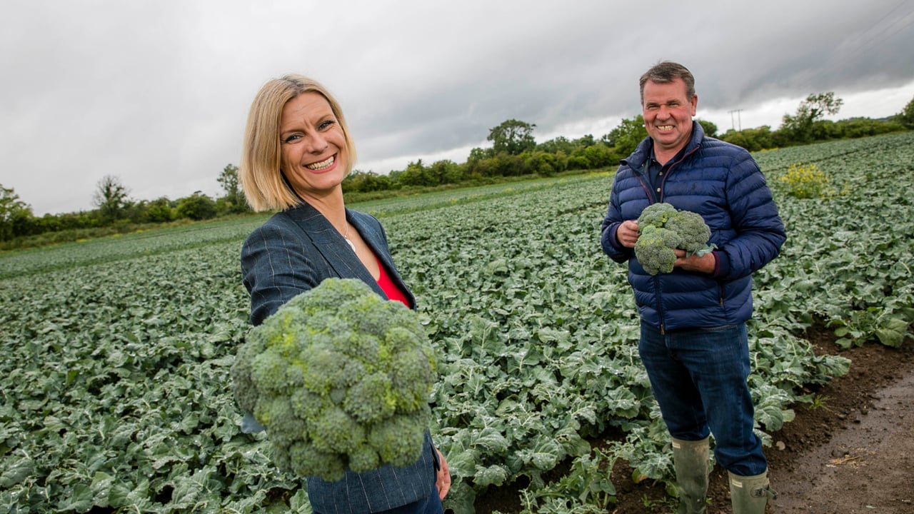 Minister of State at the Department of Agriculture, Food and the Marine, with responsibility for Land Use and Biodiversity, Pippa Hackett pictured with Leo Murphy, broccoli and cabbage farmer. Image source: Chris Bellew/Fennell Photography 