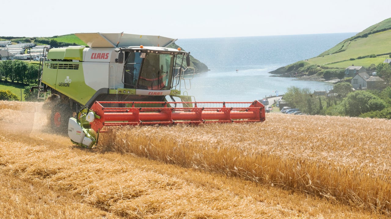 Con Twomey harvesting winter barley in Co. Cork. Image source: O'Gorman Photography