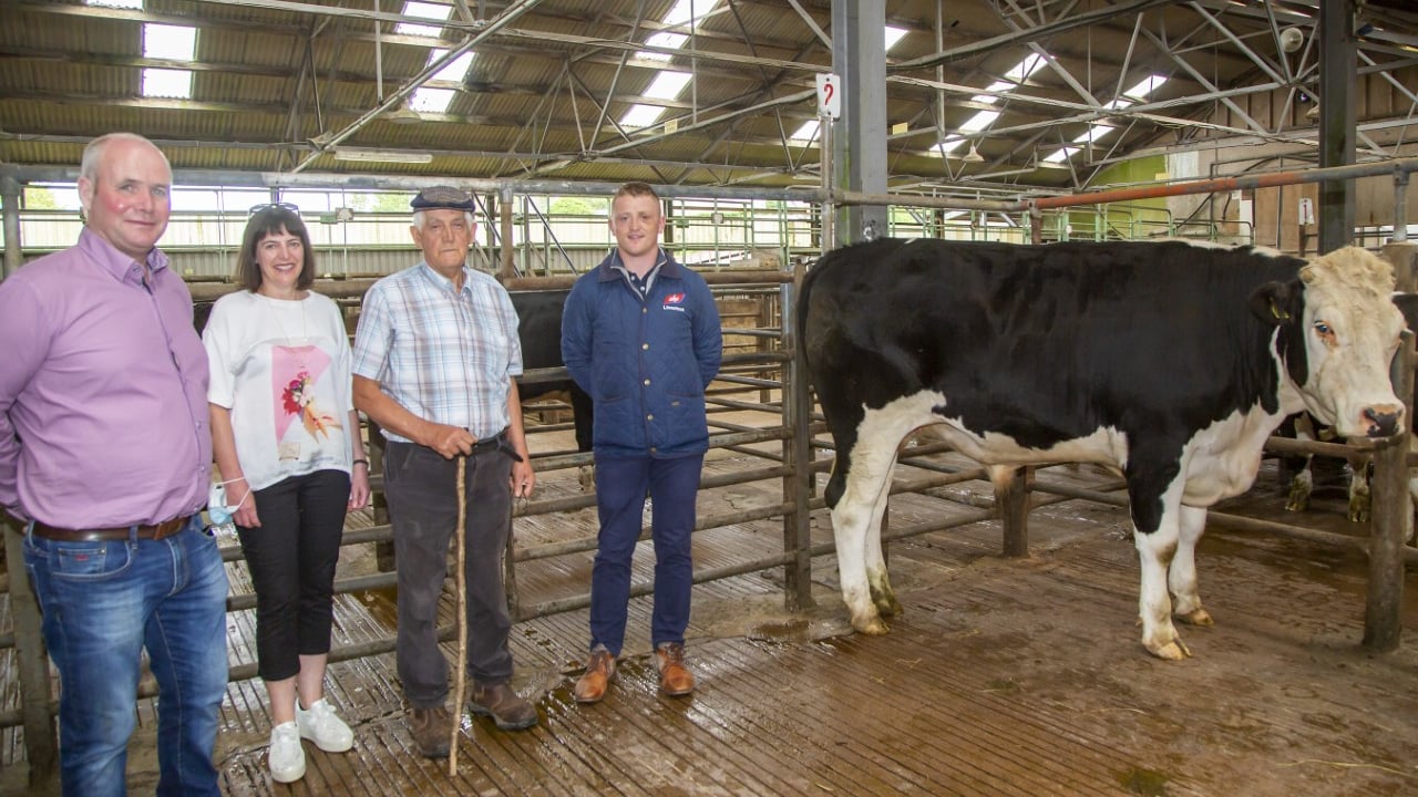 Bandon Mart manager Sean Dennehy, Hilary Sullivan from Cork ARC, ABP Bandon buyer Paudie Twomey and Gerard Hurley. Pic: Donie Hurley