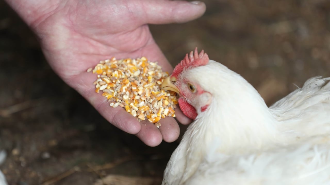 Farmers to Market outlines sustainability goals under Origin Green