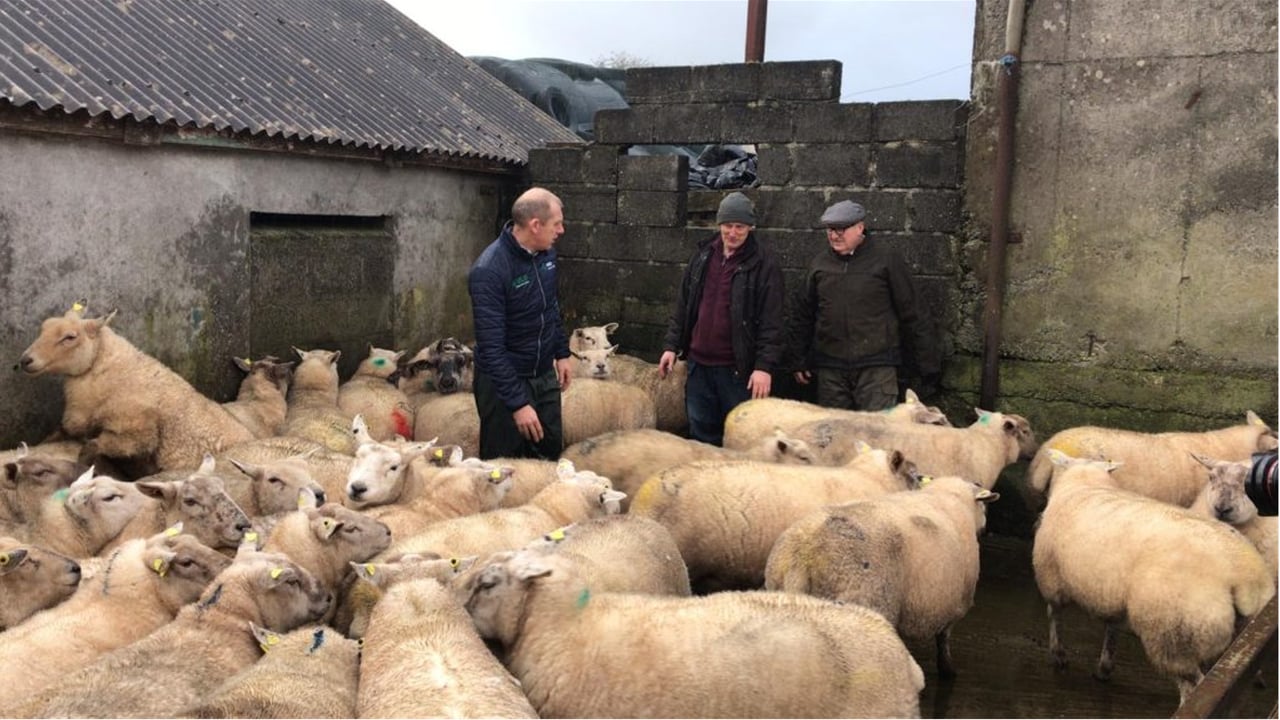 Galway vet and Veterinary Ireland president, Conor Geraghty, with farmers Bernard Geraghty and John Jenkins. 