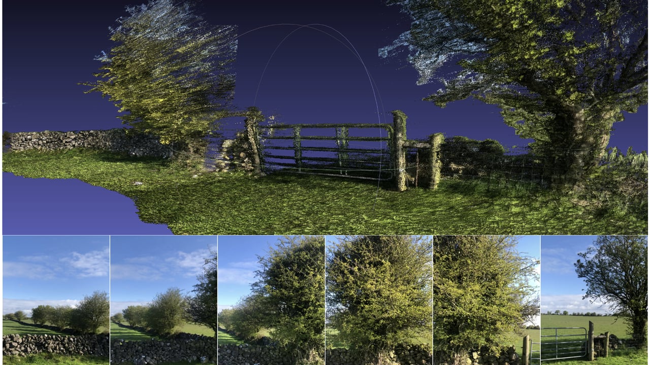 Farmeye links up with space agency to gauge carbon value of hedgerows