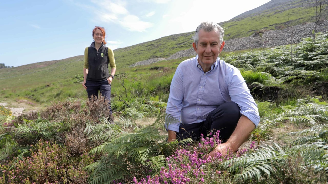 Minister Poots pictured with Heather McLachlan, National Trust Director NI, at the site of the wildfire in the Mournes. Photo: Philip Magowan, PressEye