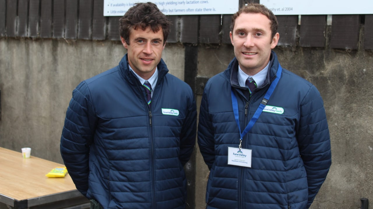 Alternative forages could significantly boost dairy diets
