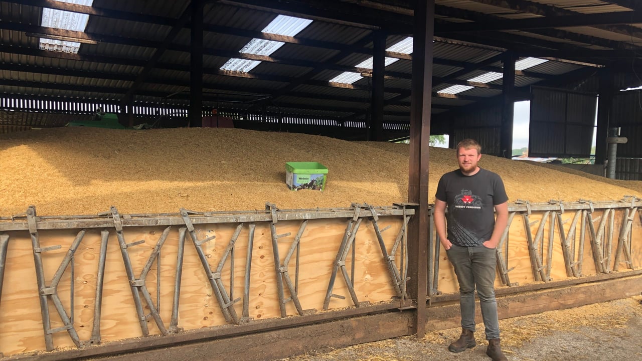 Watch: Farmer Phil's calves jump for joy with space hoppers