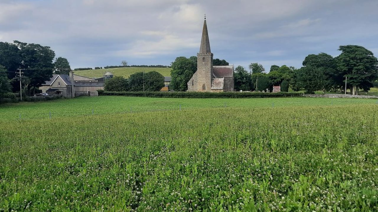 Image: AgriSearch 