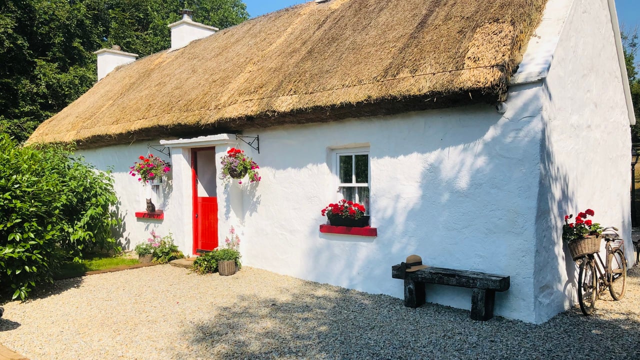 Thatched cottage restoration was family's lockdown project