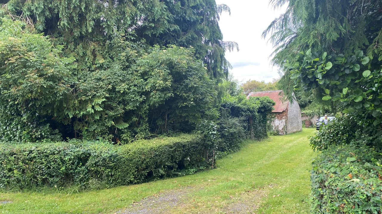 Narraghmore land ideal for farmers in expansion mode