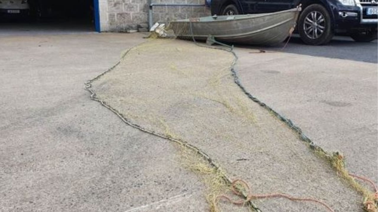 Image source: Inland Fisheries Ireland