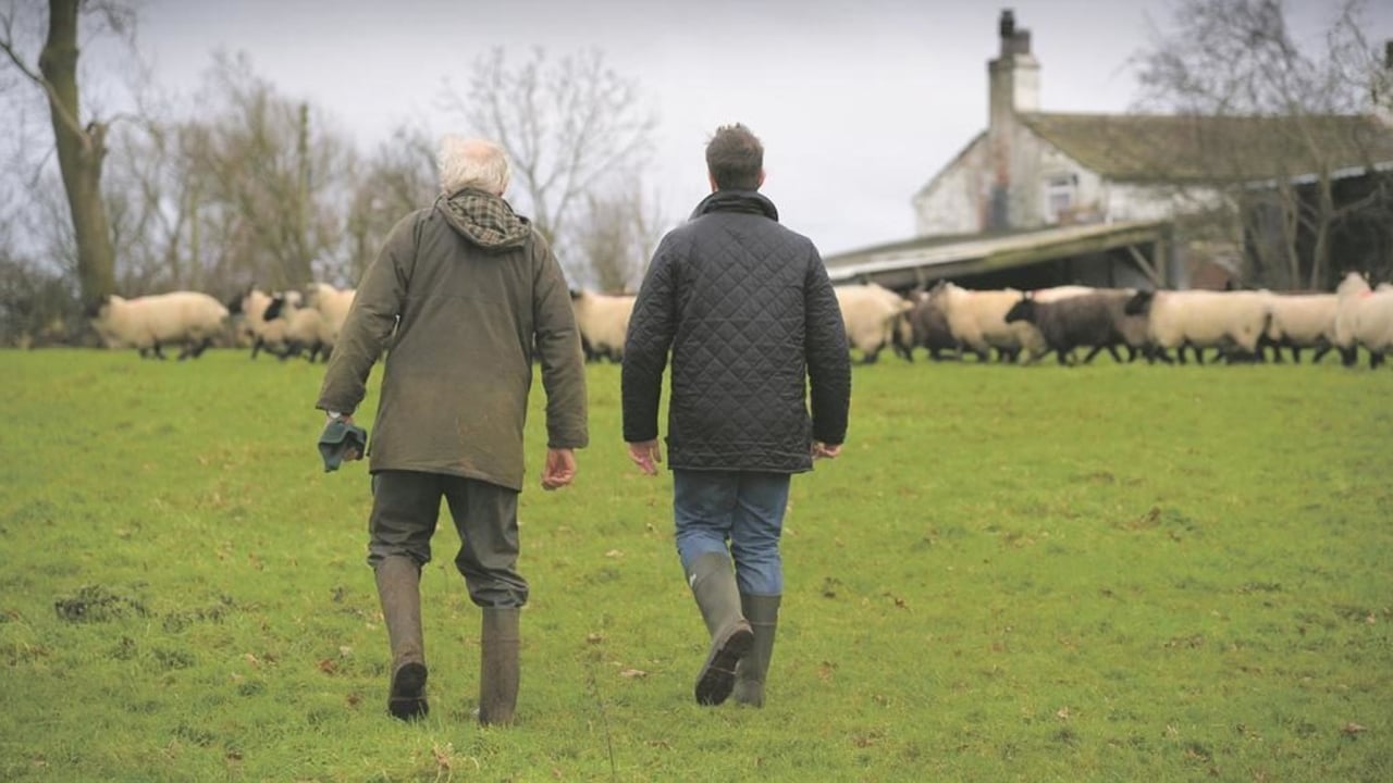 Generational renewal gains support in EU Parliament