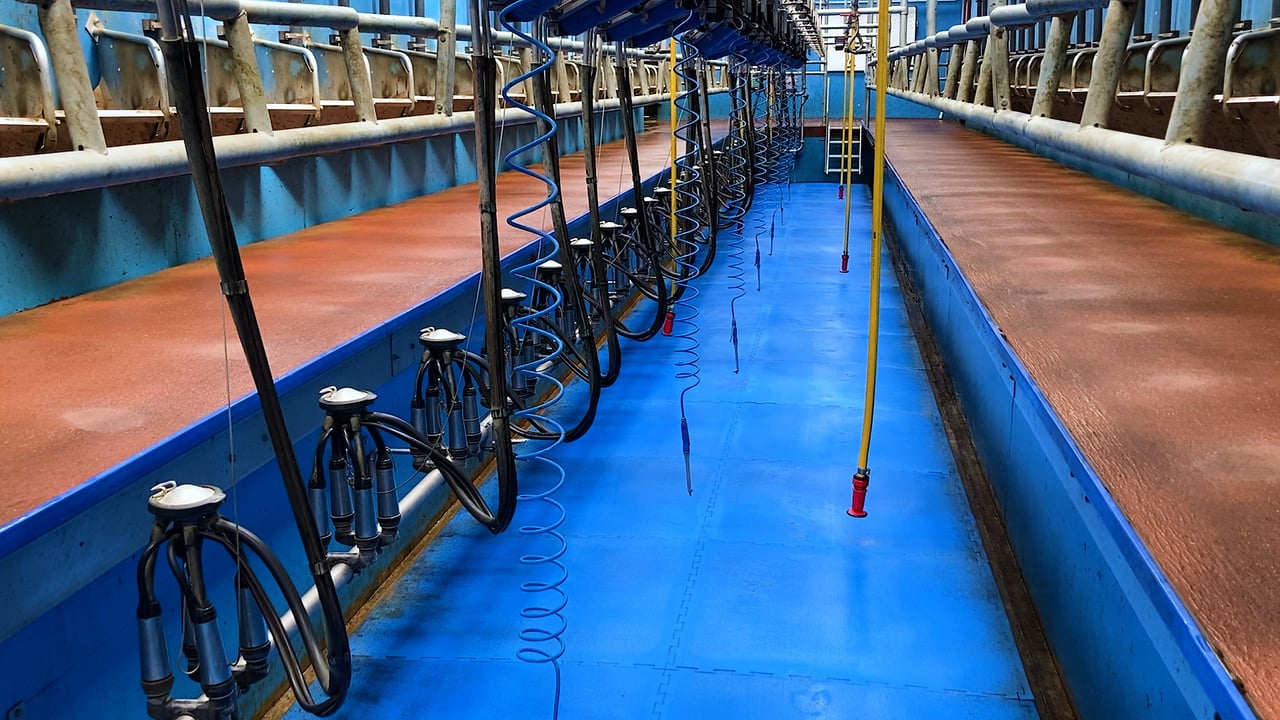 Don't overlook post-milking teat disinfection this spring
