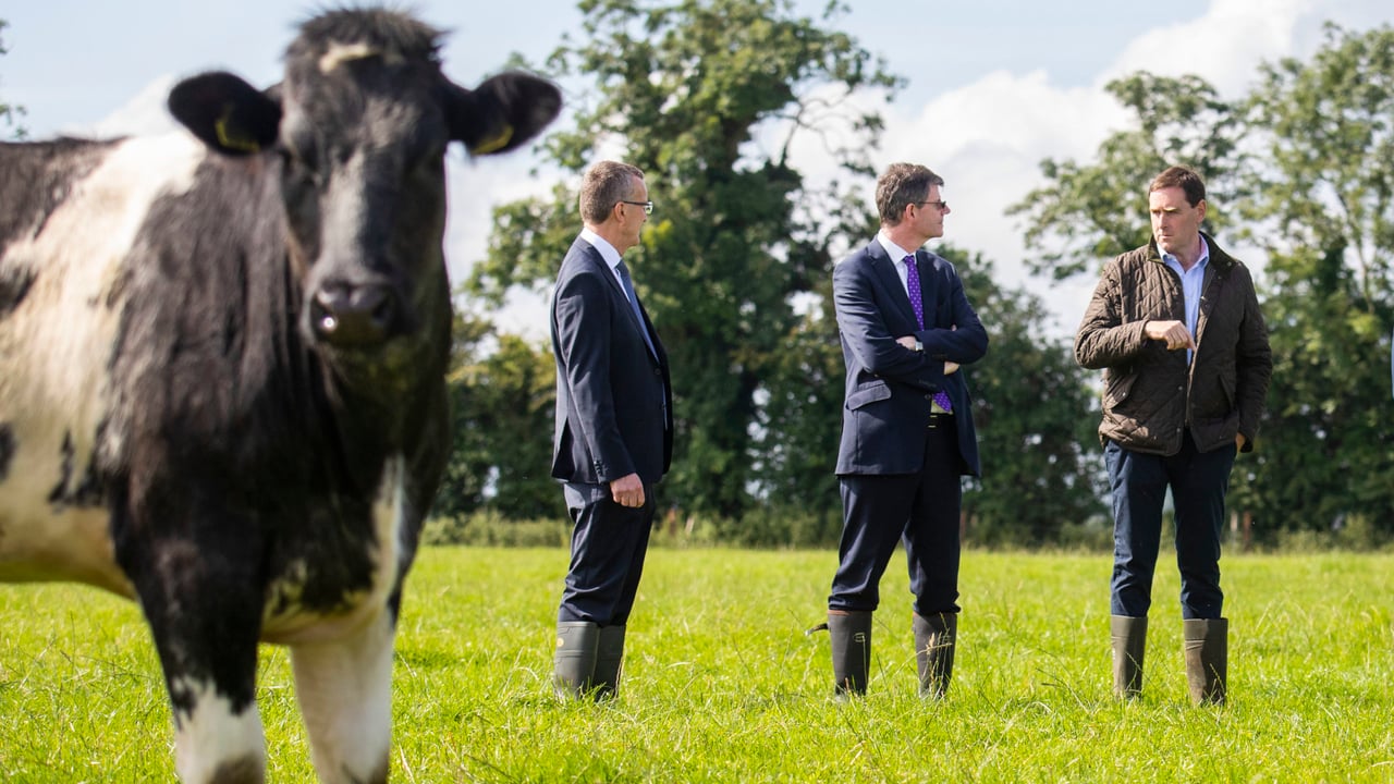 IFA president, Tim Cullinan hosted the British ambassador, Paul Johnston, on the farm of Ronan Delany, a mixed dry-stock enterprise in Dunshaughlin, Co. Meath. Picture: Finbarr O’Rourke