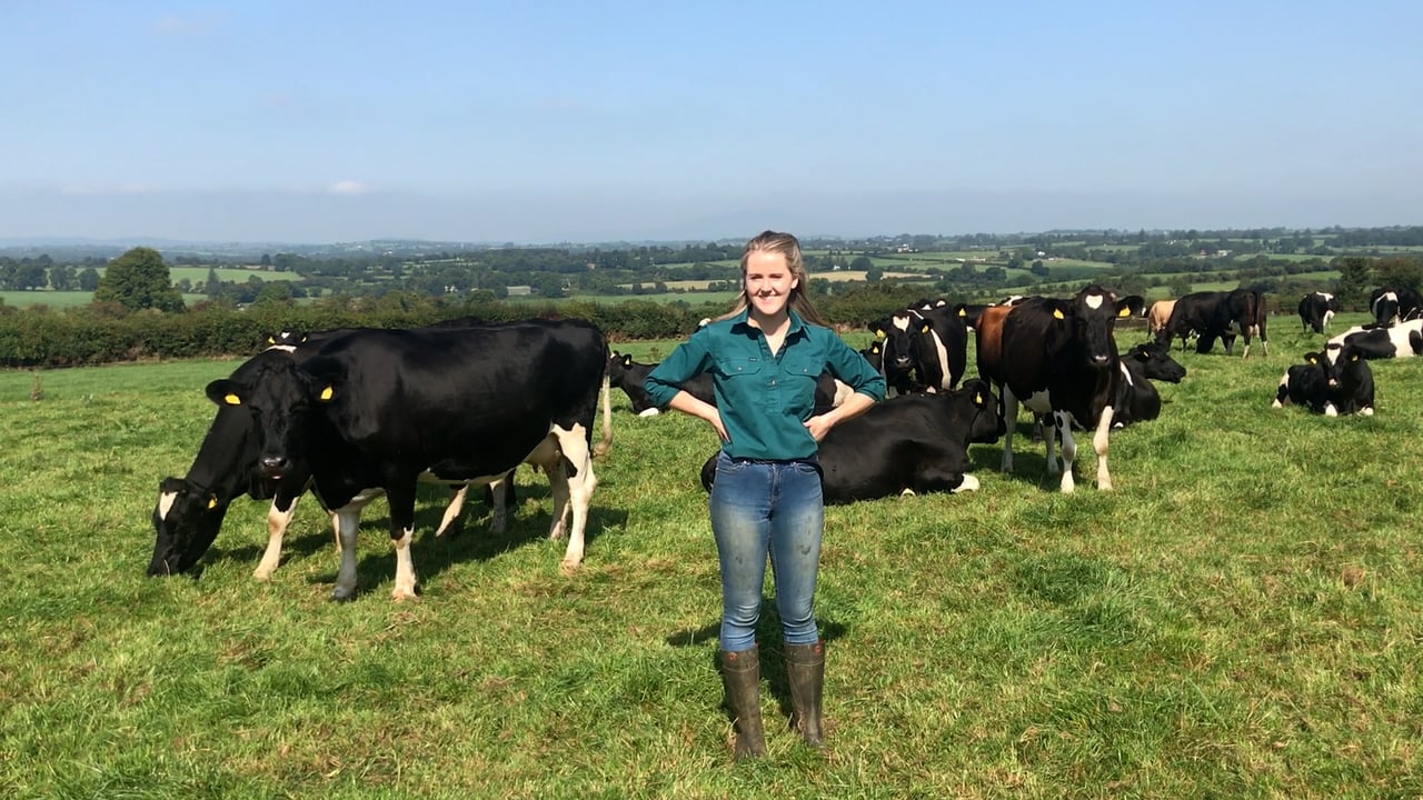 Dairy throwback: Paving a path into dairying on a leased farm