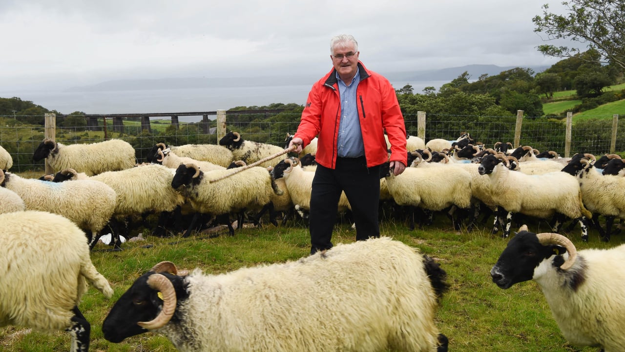 Danny Tim on his farm in Co. Kerry. Image source: Michelle Cooper Galvin