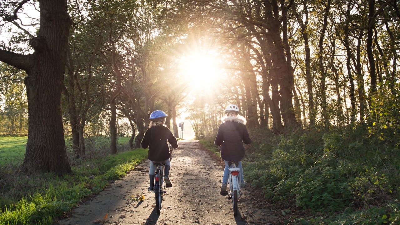 €1.2m allocated to recreation facilities and outdoor tourism in forests