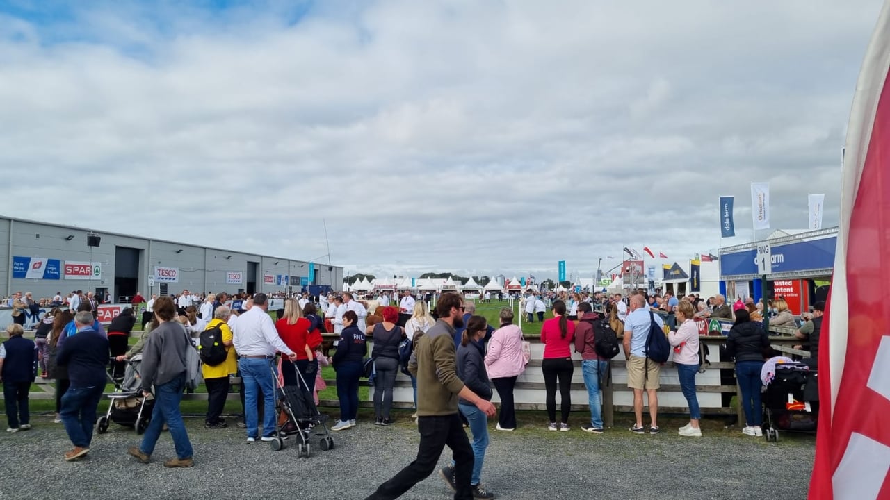 Northern Ireland farming show societies call for emergency funds