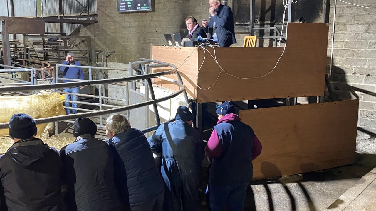 Cootehill Livestock Mart