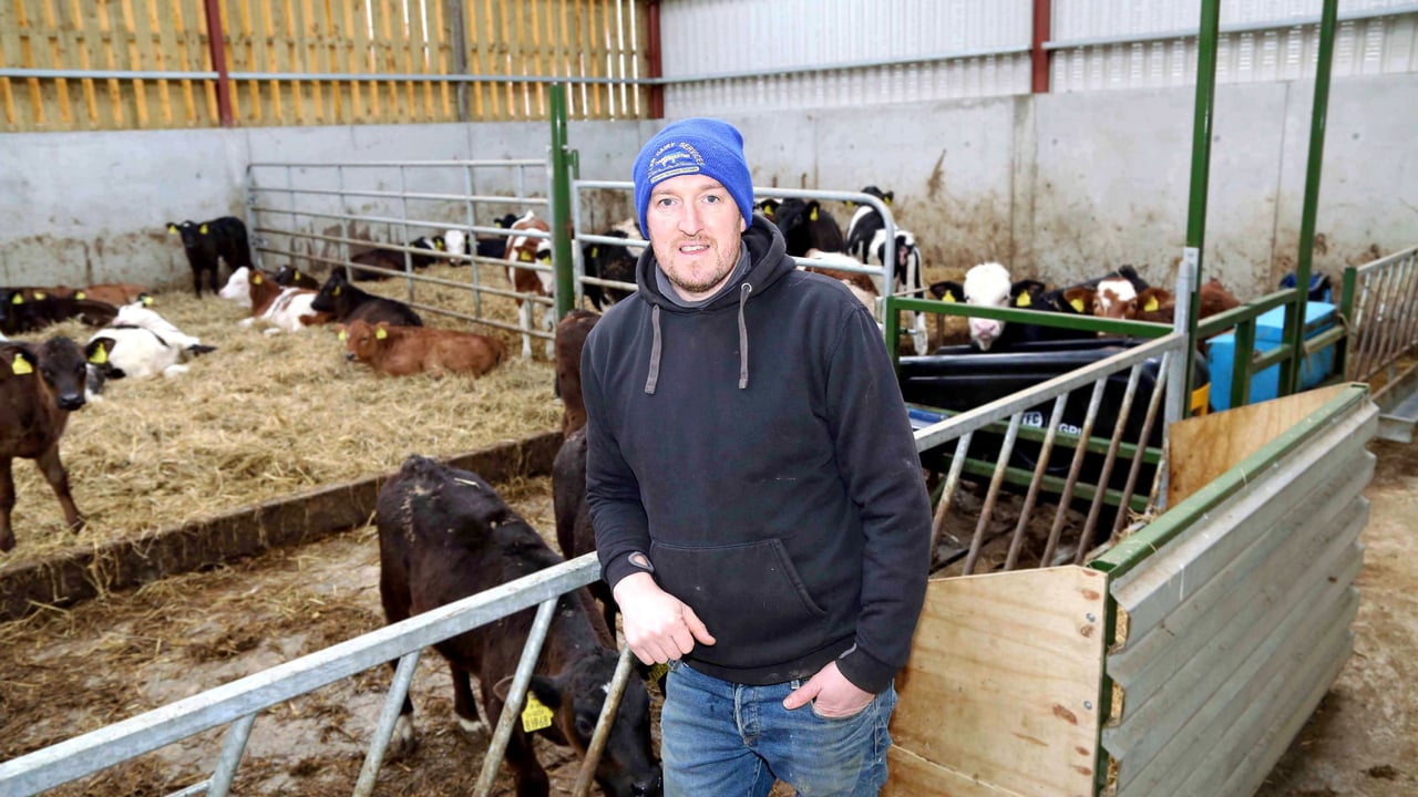 Switching to automatic calf feeding on Wicklow family farm