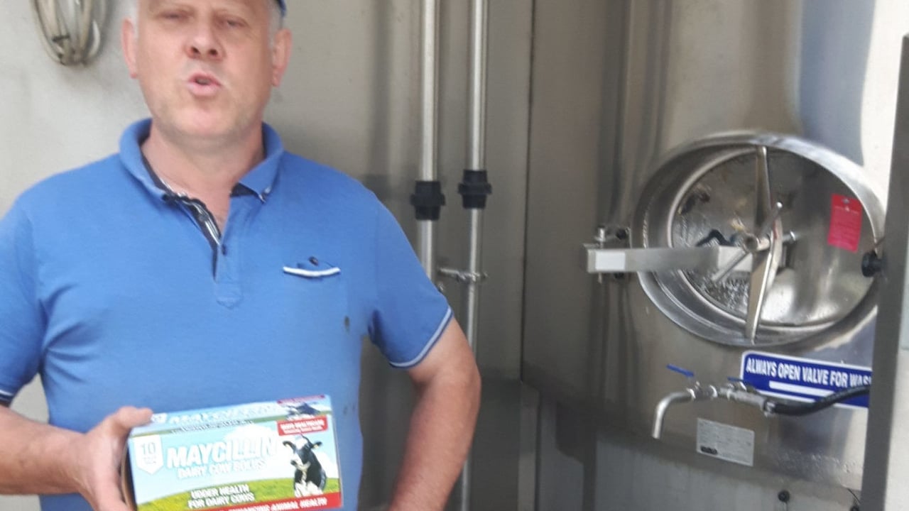 Mastitis: Reducing antibiotic need to just 20% on Limerick farm