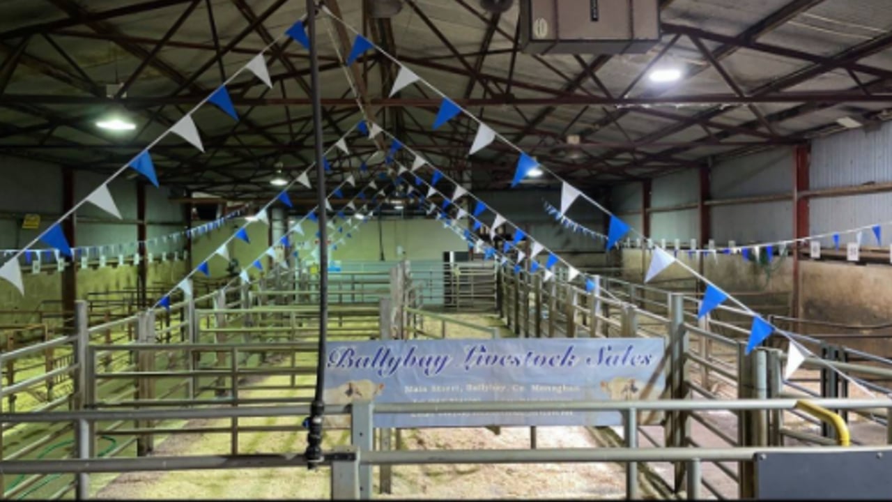 Ballybay Mart: Case to come before the High Court today
