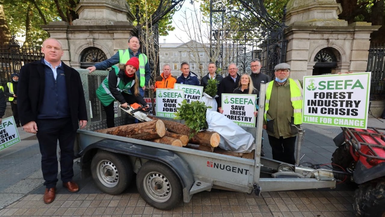 Members of SEEFA protesting outside government buildings. Image source: Finbarr O'Rourke
