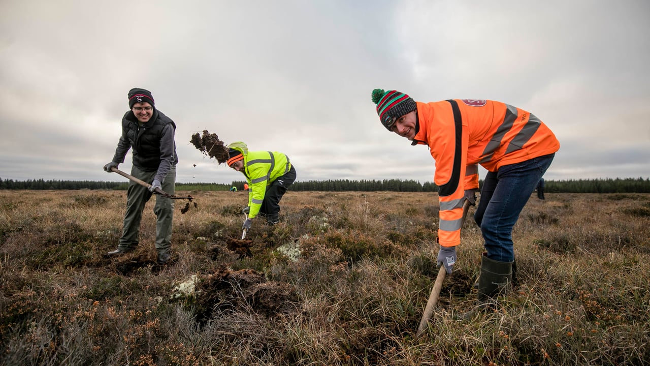 Volunteers from building and engineering contractor, John Sisk & Son carrying out bog restoration works in Lackaduff, Co. Mayo. 
Image source: Chris Bellew/Fennell Photography