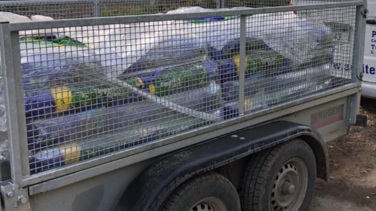 The stolen Nugent trailer