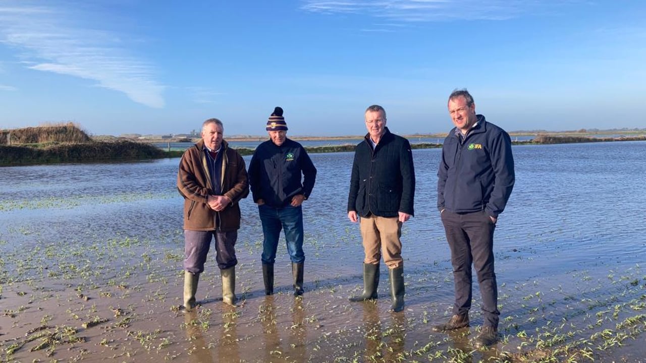 Ger Rochford, Liam O'Byrne, Tim Cullinan and Mark Browne Picture: IFA