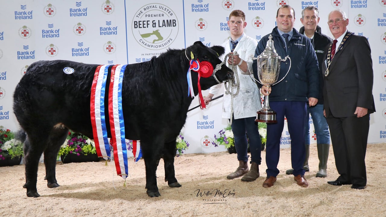 The Supreme Champion at the 2021 RUAS Beef and Lamb event, Neil Jonathan, Crossgar